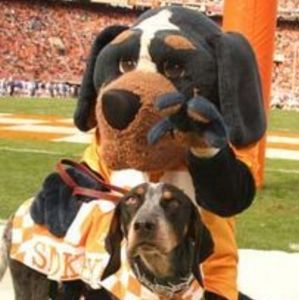 Meet your Posher, Tammy